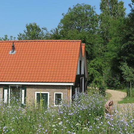 Het Kunstenaarshuis Kamperland Exterior foto