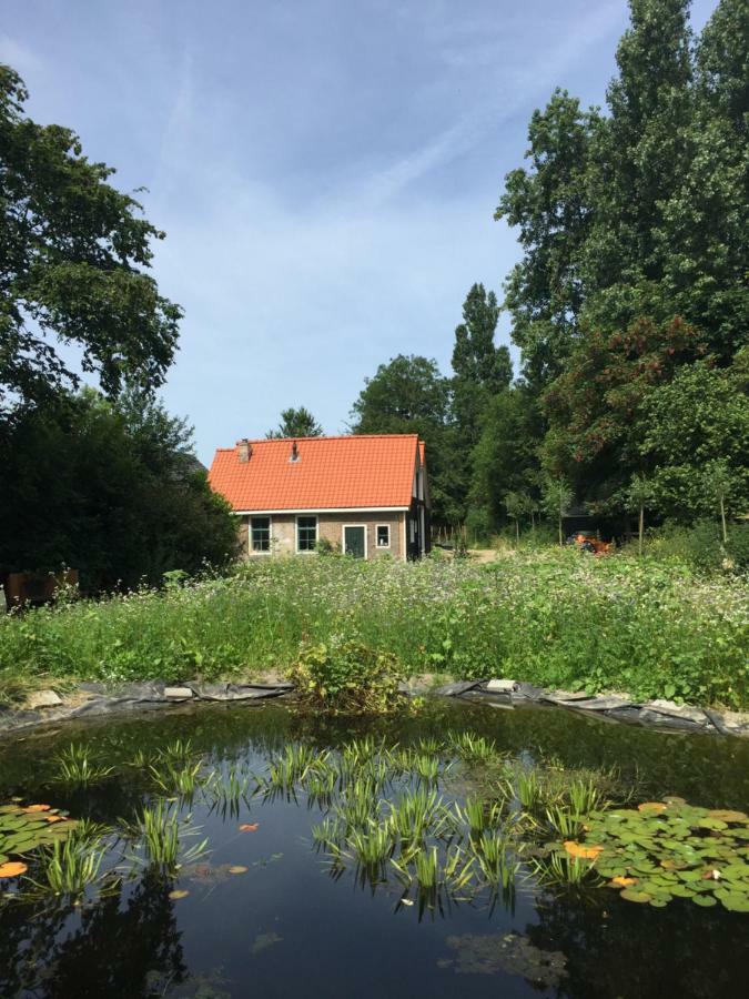 Het Kunstenaarshuis Kamperland Exterior foto