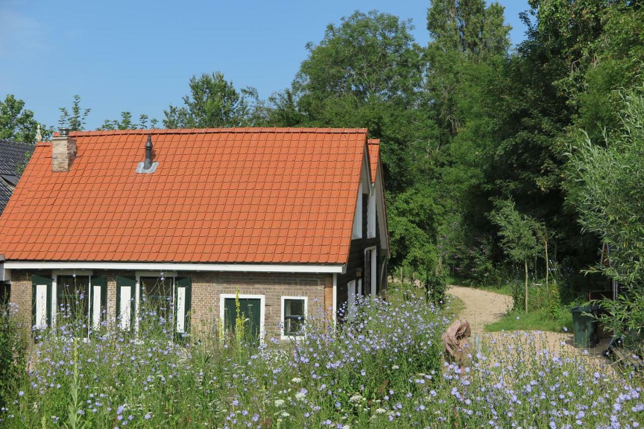 Het Kunstenaarshuis Kamperland Exterior foto