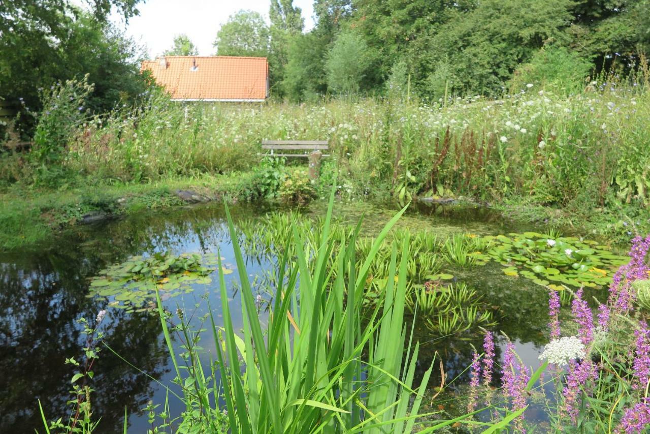 Het Kunstenaarshuis Kamperland Exterior foto